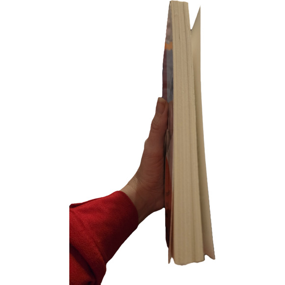 Rules for Radicals: A Pragmatic Primer for Realistic Radicals Saul Alinsky - Picture 4 of 9